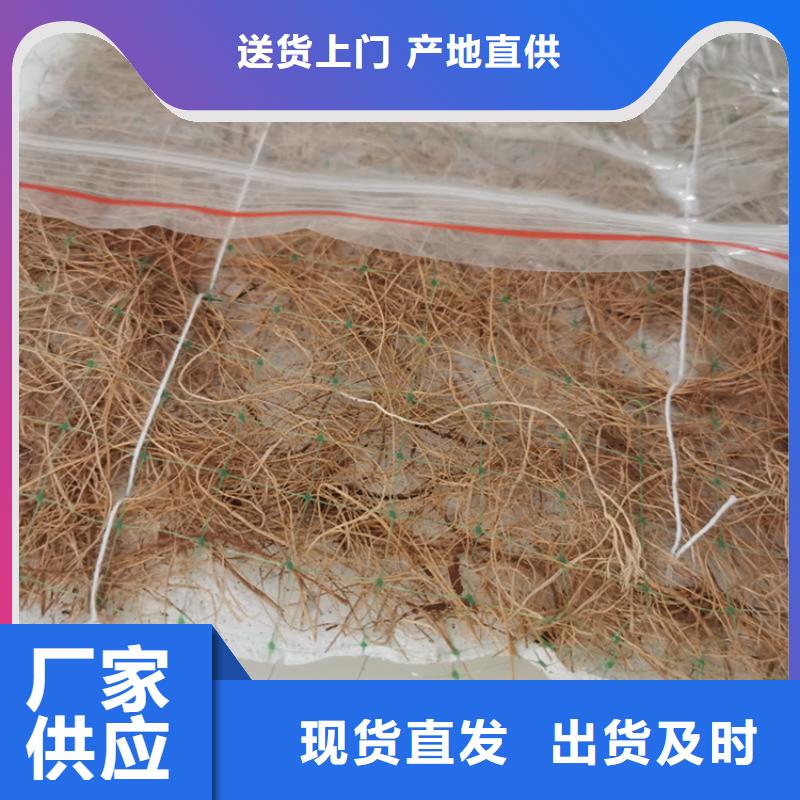 椰絲毯土工格室24小時下單發貨誠信廠家