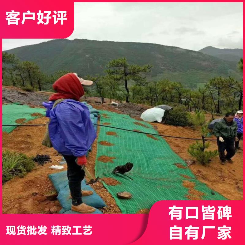 【椰絲毯】,土工格室源廠定制廠家直發