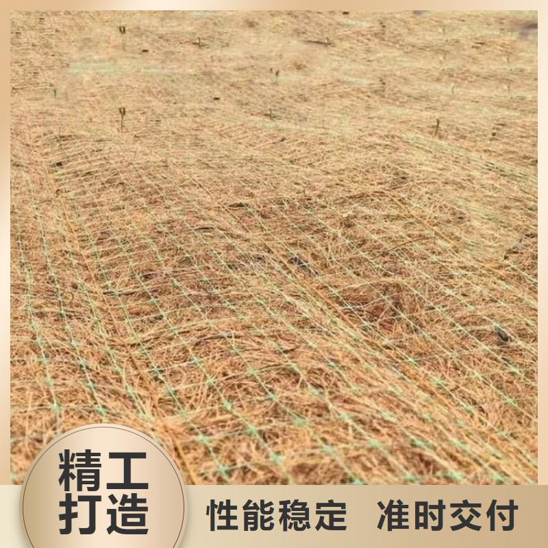 椰絲毯HDPE土工膜品質(zhì)無所畏懼當(dāng)?shù)厣a(chǎn)商