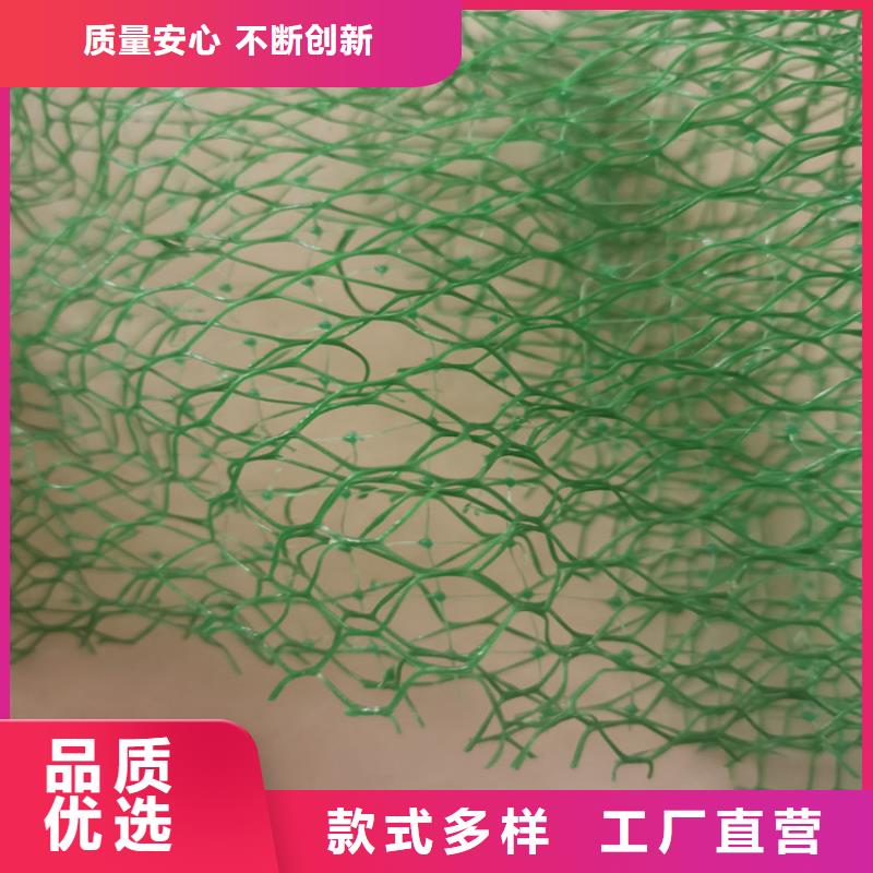 三維植被網土工格柵專業生產N年同城供應商