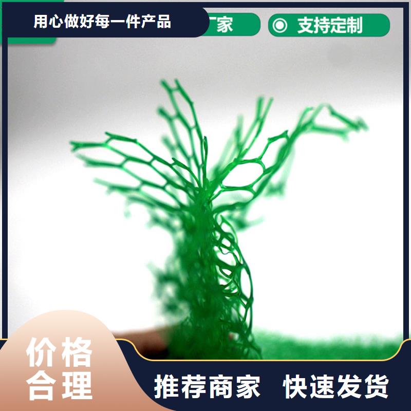 三維植被網,【止水條】質量層層把關精益求精