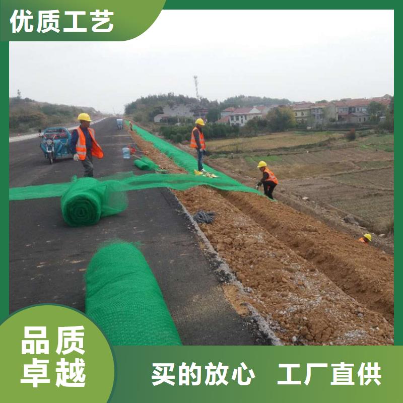 三維植被網【軟式透水管】型號全價格低精工細作品質優良