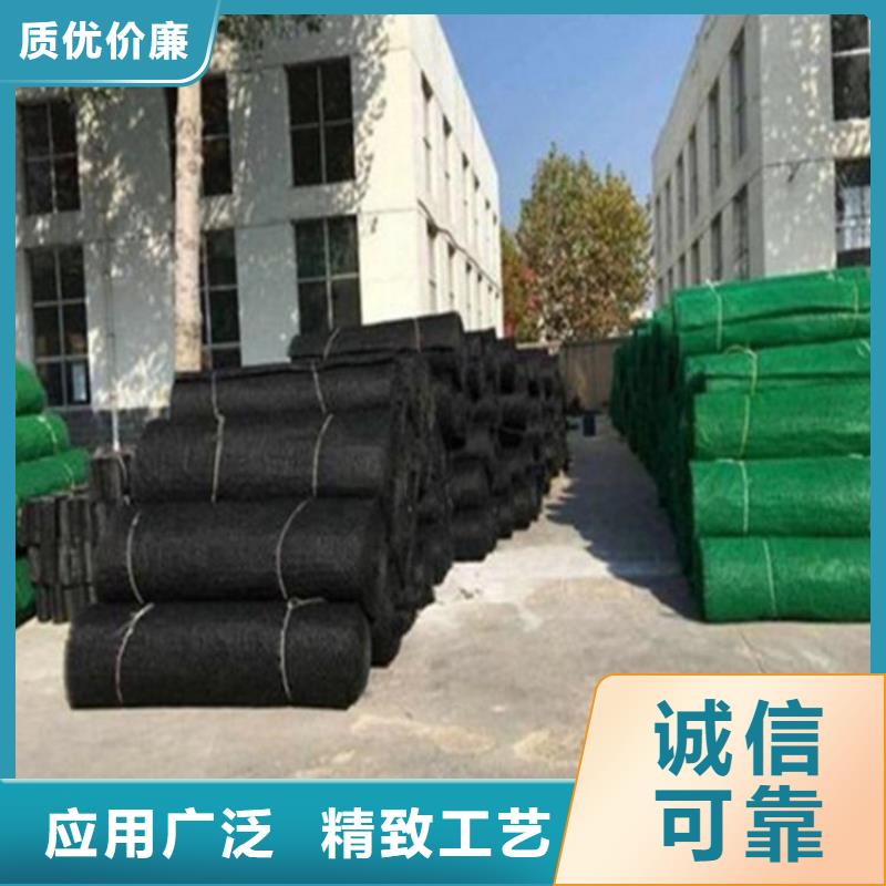 三維植被網防滲膜好品質用的放心海量現貨