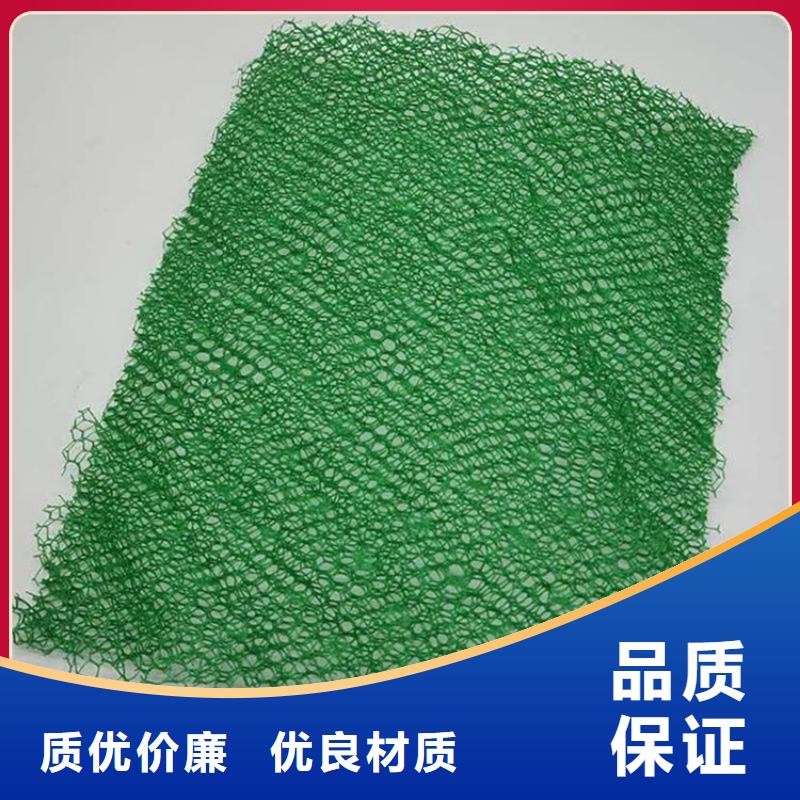 【三維植被網(wǎng)】無(wú)紡布優(yōu)選貨源有實(shí)力有經(jīng)驗(yàn)