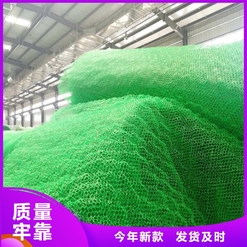 三維植被網(wǎng),軟式透水管市場行情24小時下單發(fā)貨