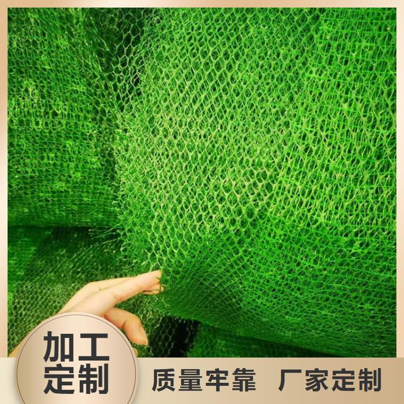 三維植被網通風降噪絲網精工細作品質優良擁有多家成功案例