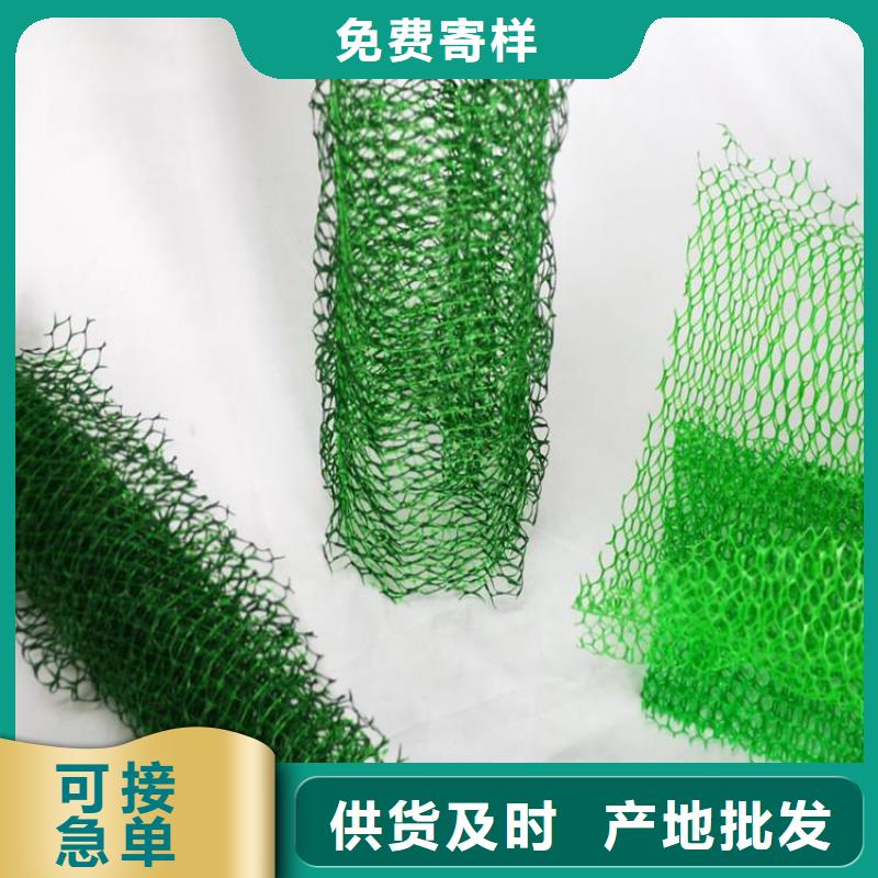 三維植被網_雙向塑料土工格柵質量可靠同城生產廠家