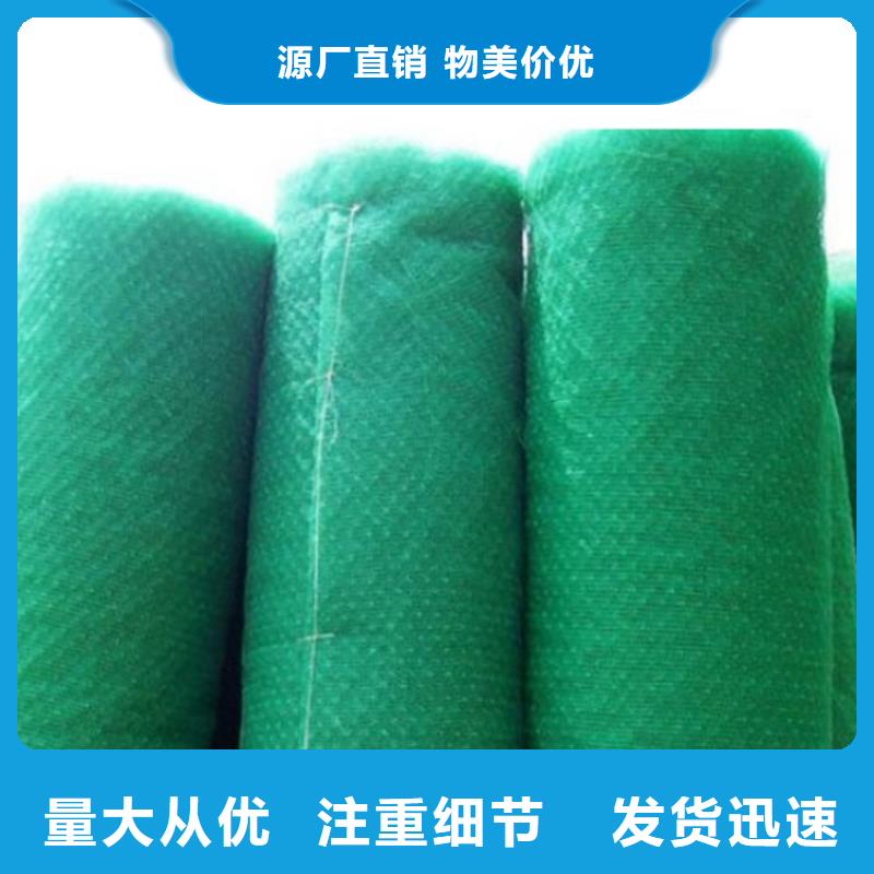 三維植被網(wǎng)土工格柵好貨采購免費(fèi)獲取報(bào)價(jià)