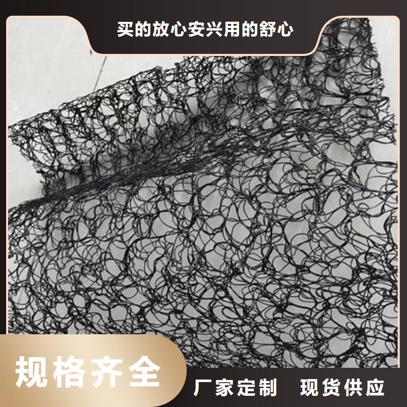 通風降噪絲網鋼塑土工格柵廠家實力雄厚工廠采購