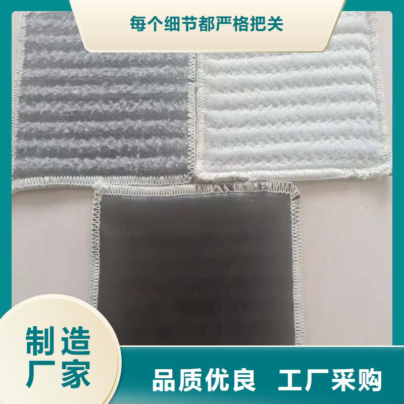 膨潤土防水毯雙向土工格柵客戶滿意度高精益求精