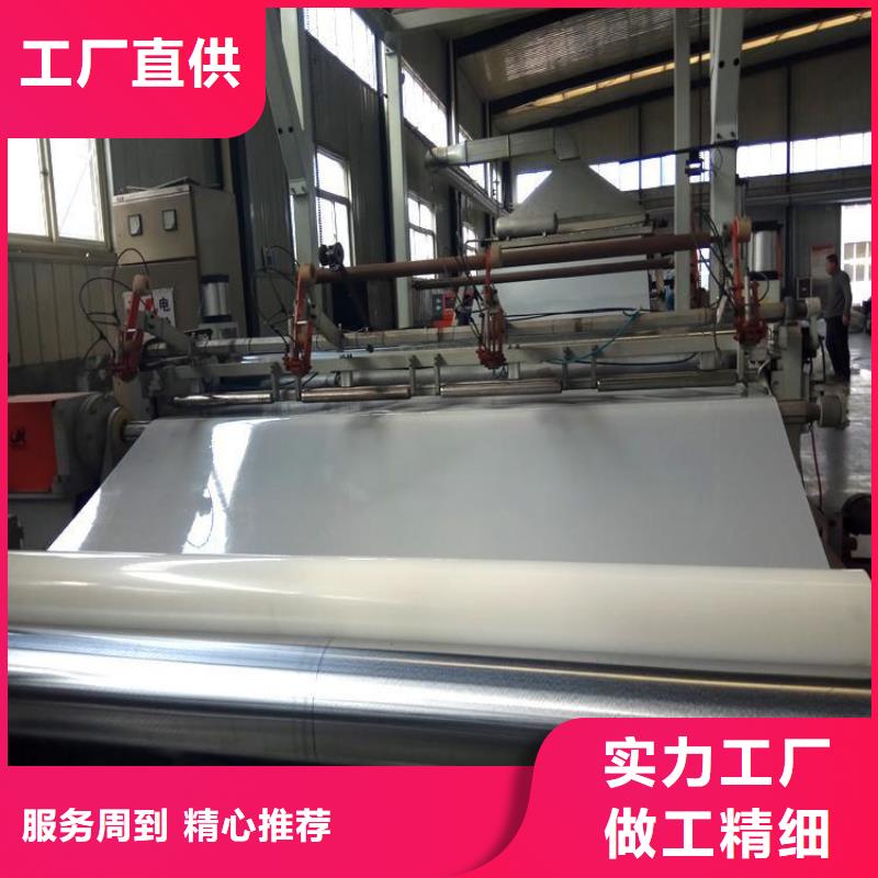 防水板鋼塑格柵貨源足質(zhì)量好懂您所需