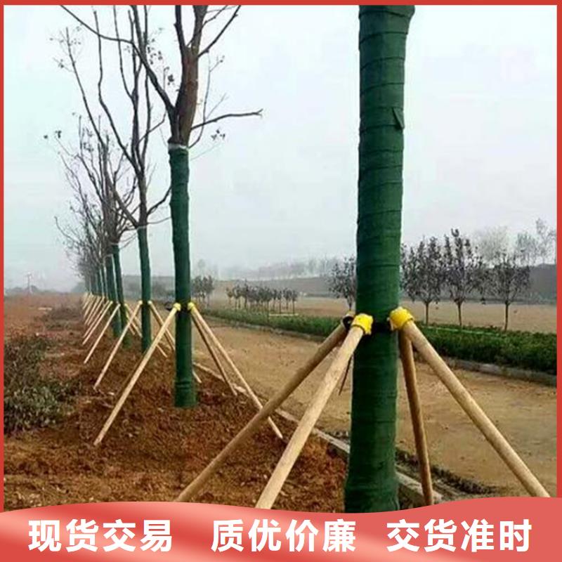 裹樹布【鋼塑土工格柵】海量現貨直銷工廠采購