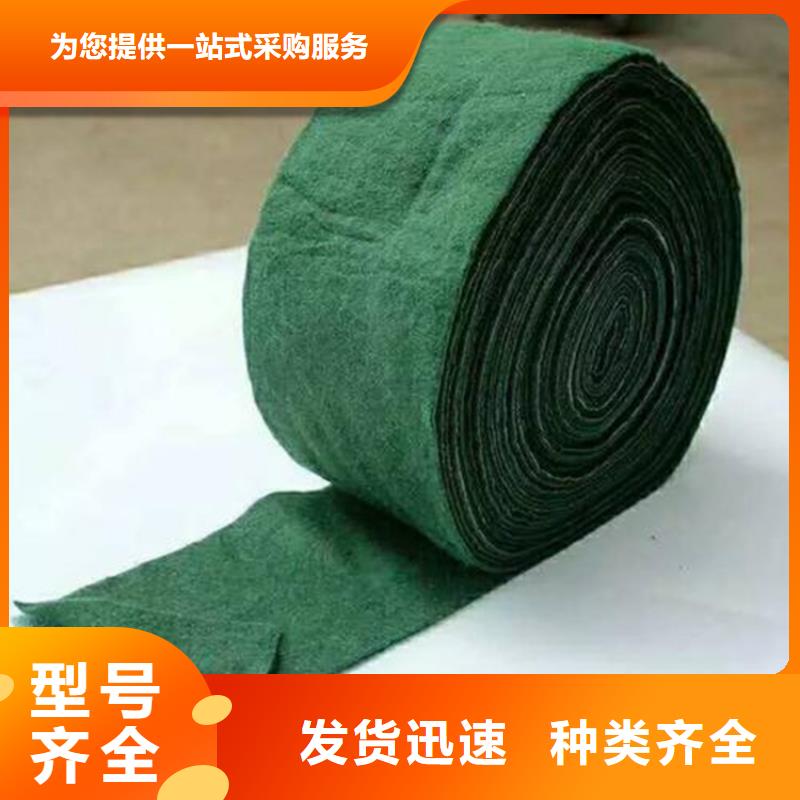 【裹樹布】_排水板品質保障價格合理當地生產商