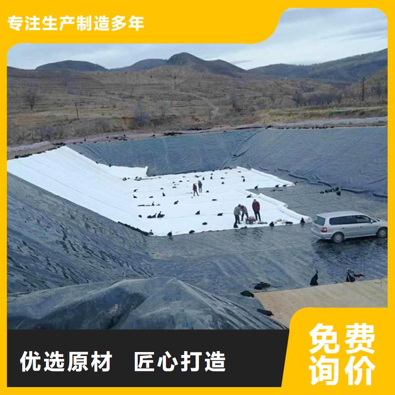 土工膜_雙向塑料土工格柵保質保量當地生產商