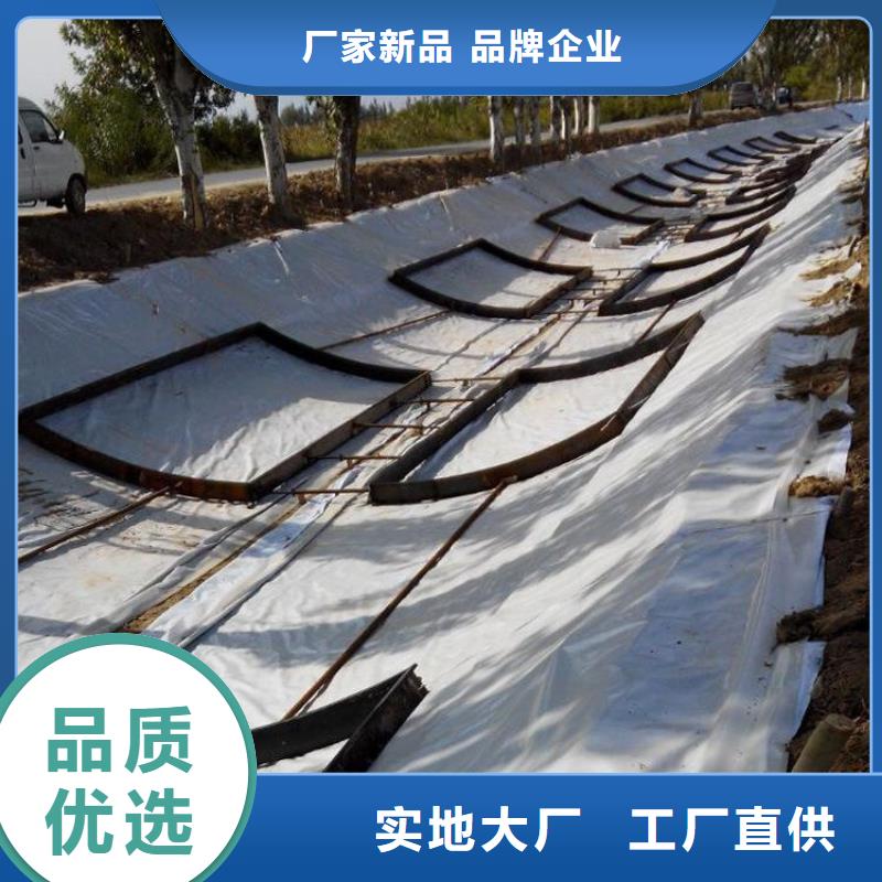 土工膜玻纖格柵以質量求生存多家倉庫發貨
