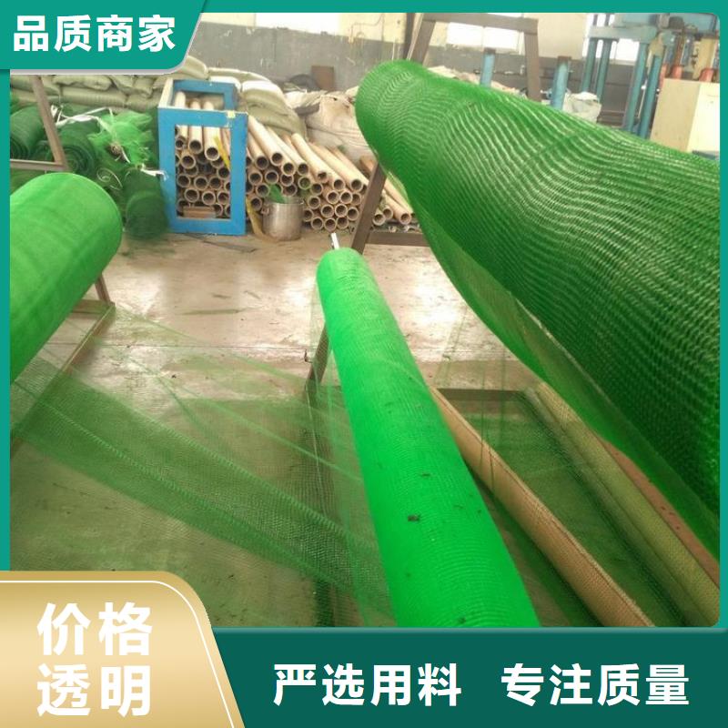 ?三維植被網【土工膜】專注細節專注品質優質工藝