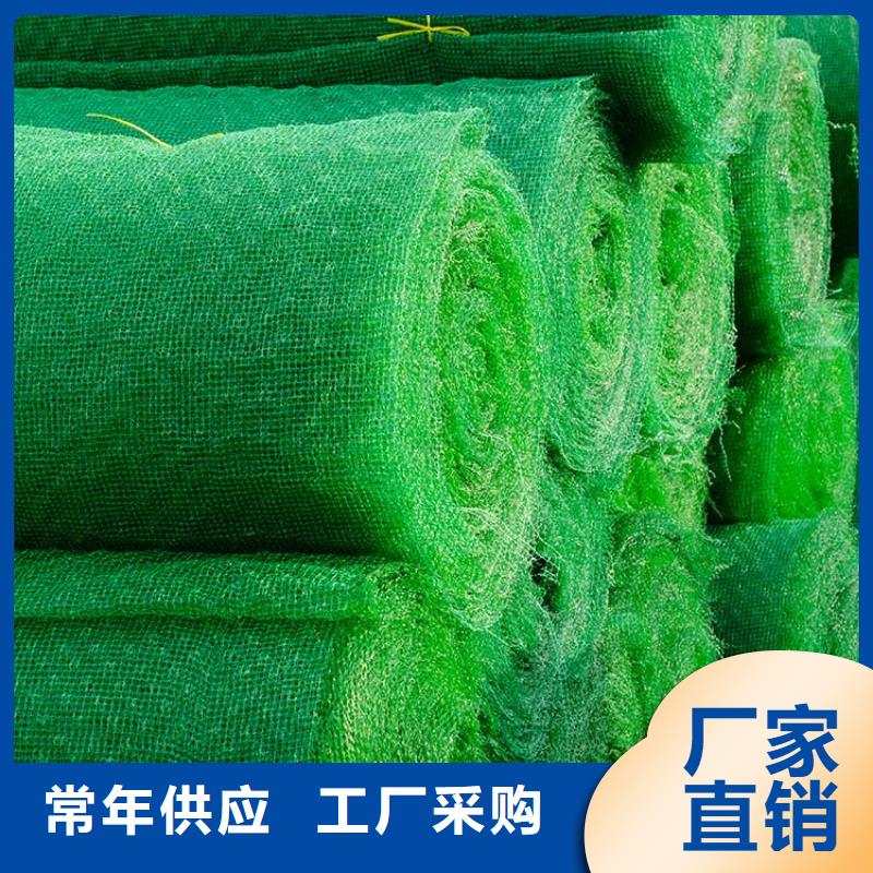 三維植被網礦用格柵來圖加工定制制造廠家