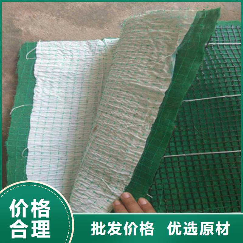 椰絲毯土工膜質量優價格低現貨銷售