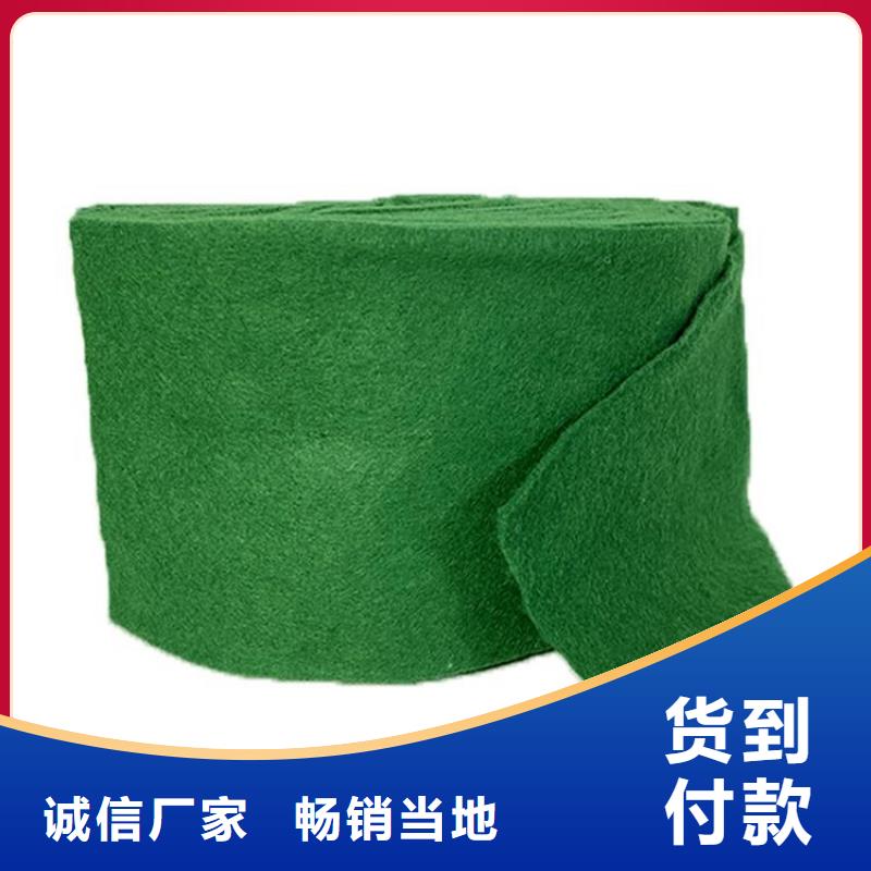 裹樹布土工格柵一站式服務實體廠家