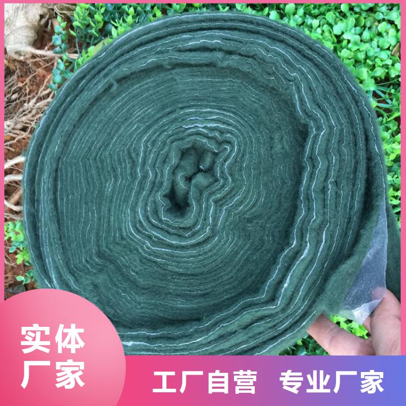 裹樹布,膨潤土防水毯貨源充足同城公司