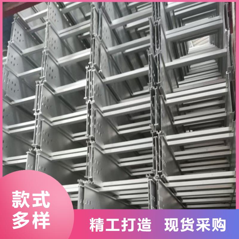 做大跨距橋架的生產廠家原廠制造