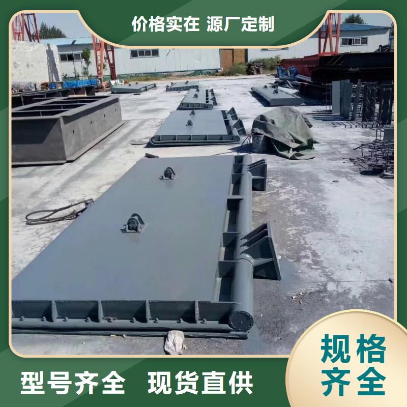 翻板閘門格柵除污機(jī)廠家案例當(dāng)?shù)厣a(chǎn)商