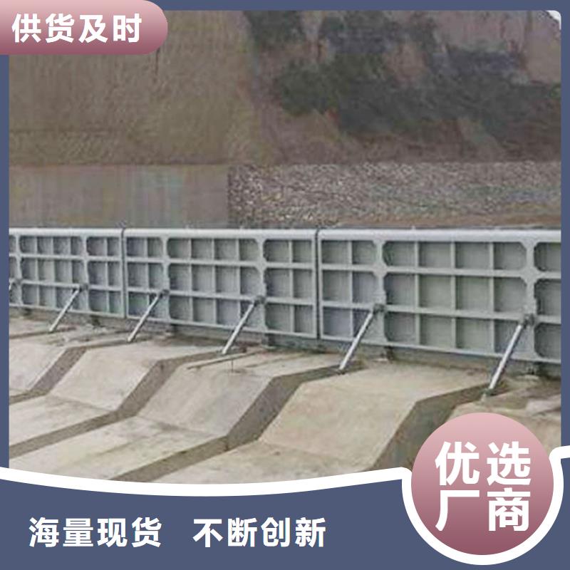 翻板閘門鋼制拍門實力廠商N年專注