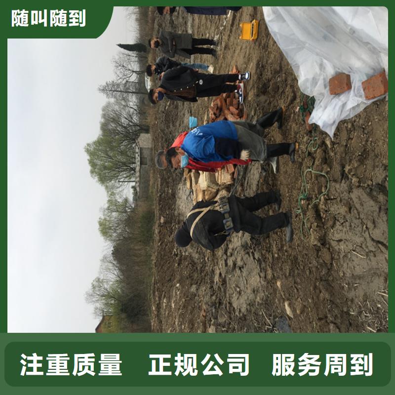 水下工程施工公司信息本地服務商