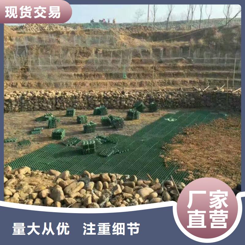 植草格产地直供客户信赖的厂家