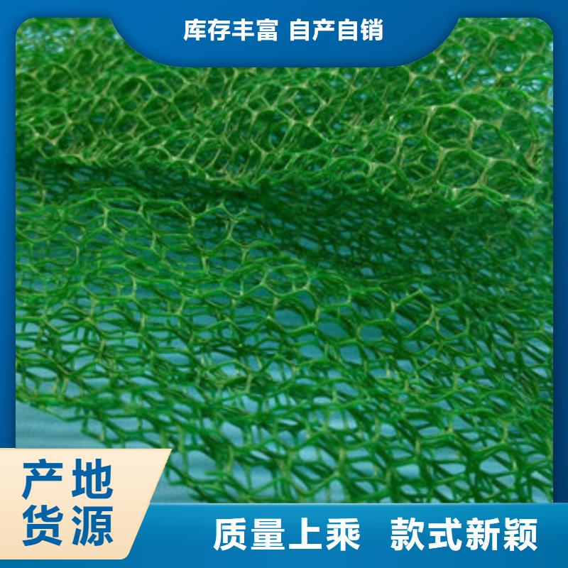 三維植被網(wǎng)-防護虹吸排水收集系統(tǒng)產(chǎn)地工廠實力商家供貨穩(wěn)定