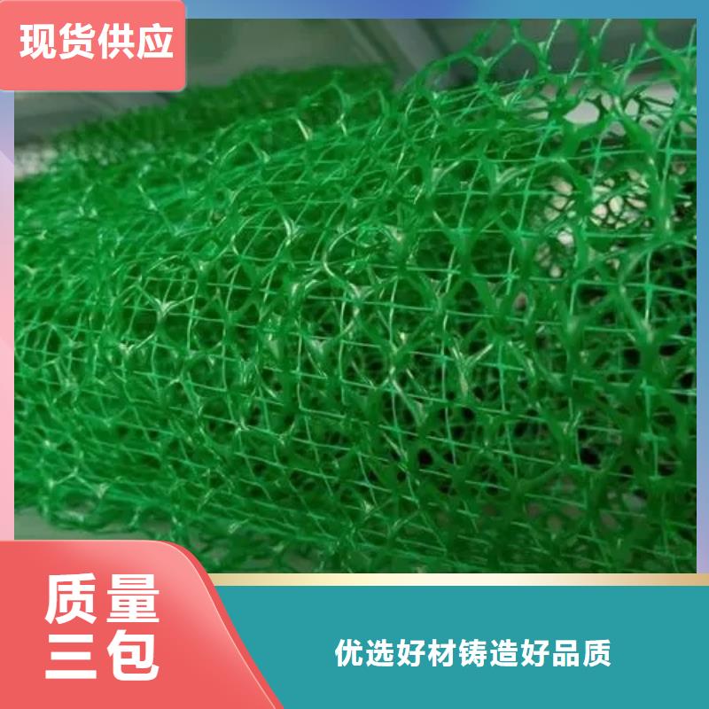 三維植被網(wǎng)植草格經(jīng)驗(yàn)豐富品質(zhì)可靠性價(jià)比高