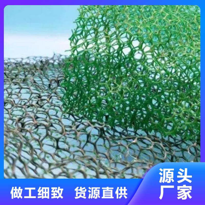三維植被網(wǎng)排水板服務(wù)至上本地生產(chǎn)商