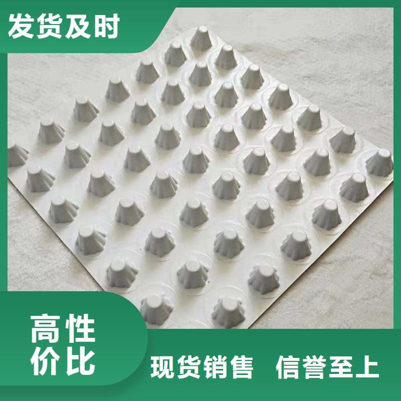 排水板植草格質檢嚴格放心品質源廠直接供貨