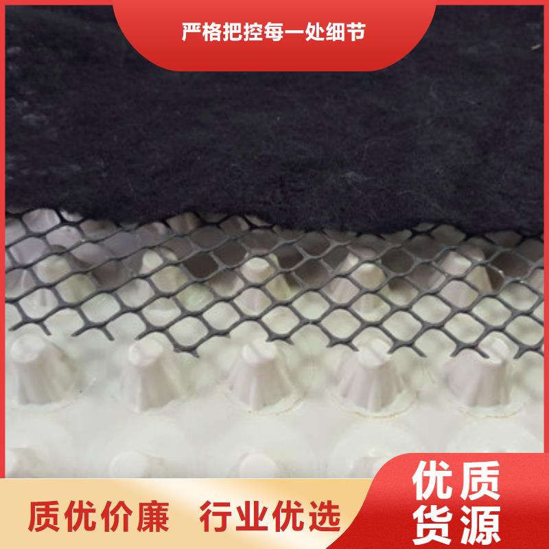 排水板_疏水板滿足客戶所需廠家規(guī)格全