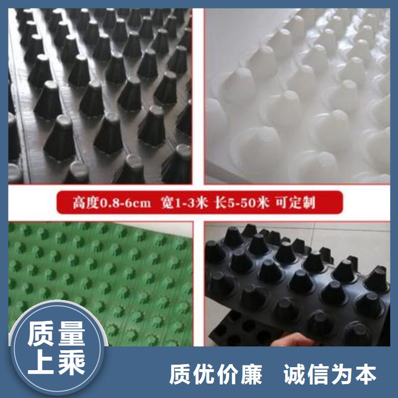 排水板塑料排水板高質量高信譽有實力有經驗