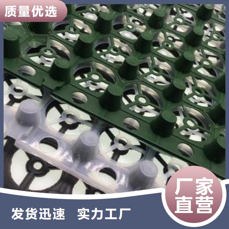 排水板復合土工膜低價貨源品牌專營