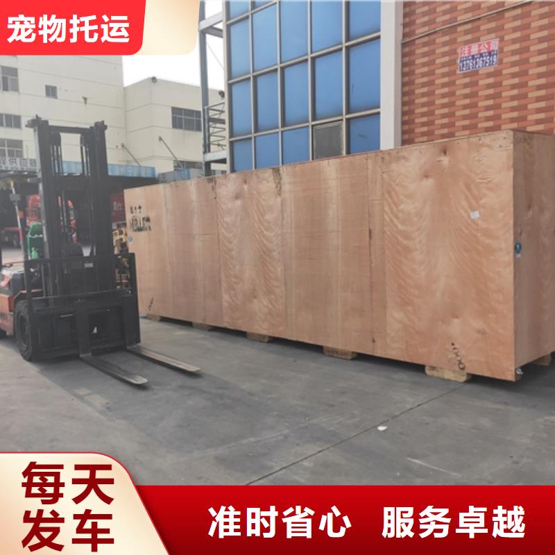 阿拉善物流服務【上海到阿拉善冷藏物流公司】專線運輸