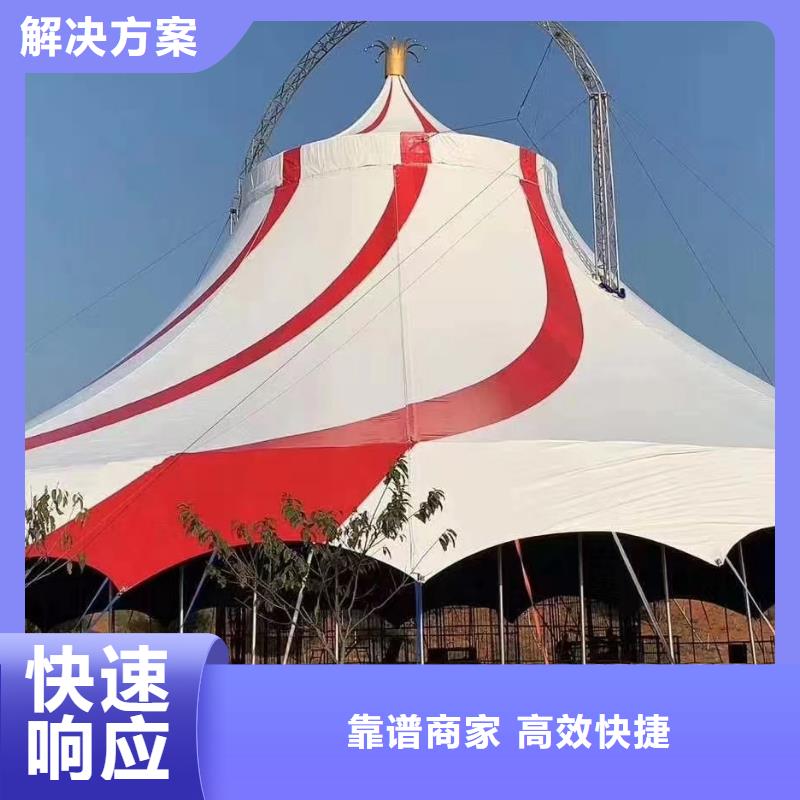 马戏团/羊驼-【企鹅演出】专业承接价格低于同行