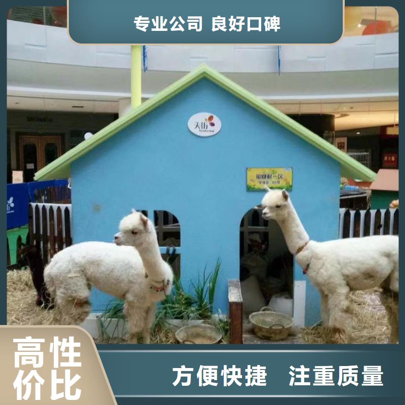 马戏团/羊驼水族海洋展价格低于同行当地供应商