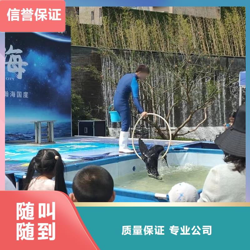 海洋主题动物表演羊驼出租放心之选正规公司