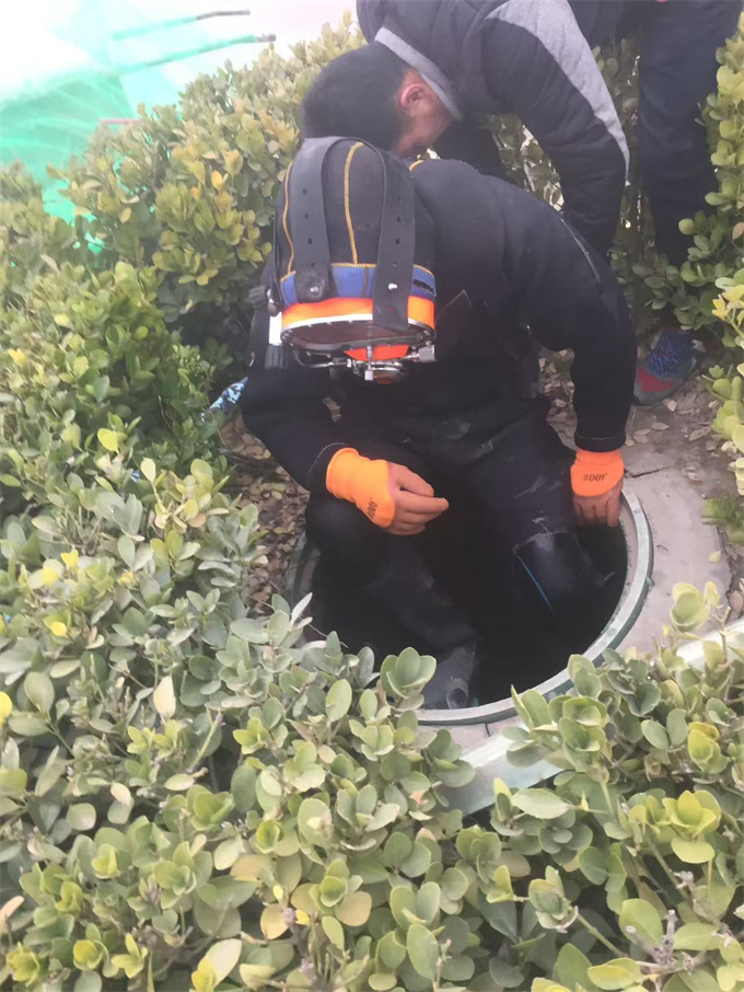 模袋混凝土施工隊歡迎來電