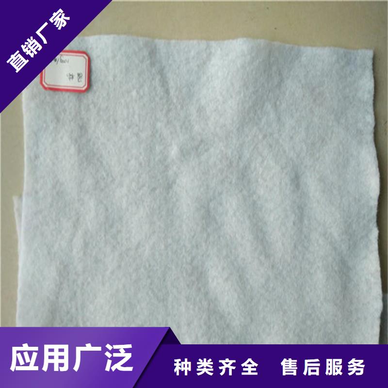 土工布HDPE復(fù)合排水板一致好評產(chǎn)品當(dāng)?shù)毓?yīng)商