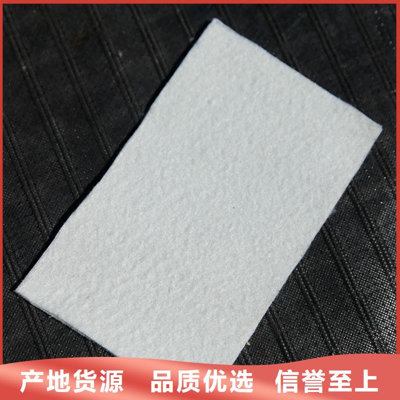 土工布無紡布源頭廠家量大價(jià)優(yōu)當(dāng)?shù)胤?wù)商