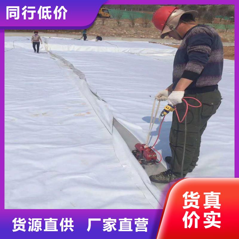 土工布雙向塑料土工格柵安裝簡單專注生產N年