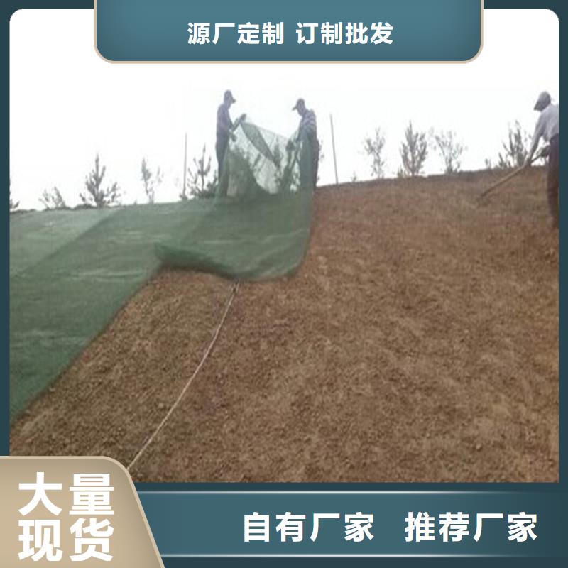 土工布生態帶質檢合格發貨廠家直銷直供