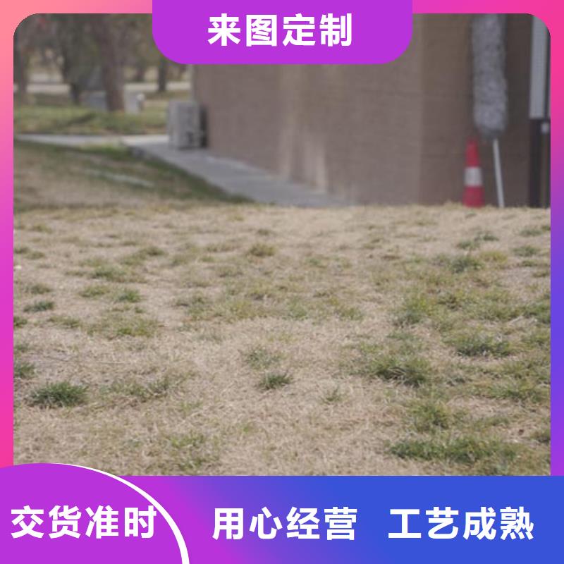仿夯土涂料生產(chǎn)廠家品質(zhì)保證匠心打造