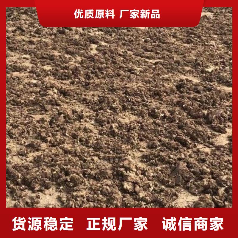 有機肥歡迎咨詢加工定制
