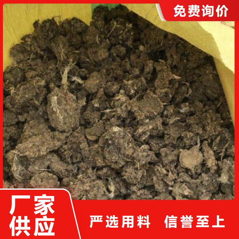 雞糞有機肥大姜施肥工程施工案例