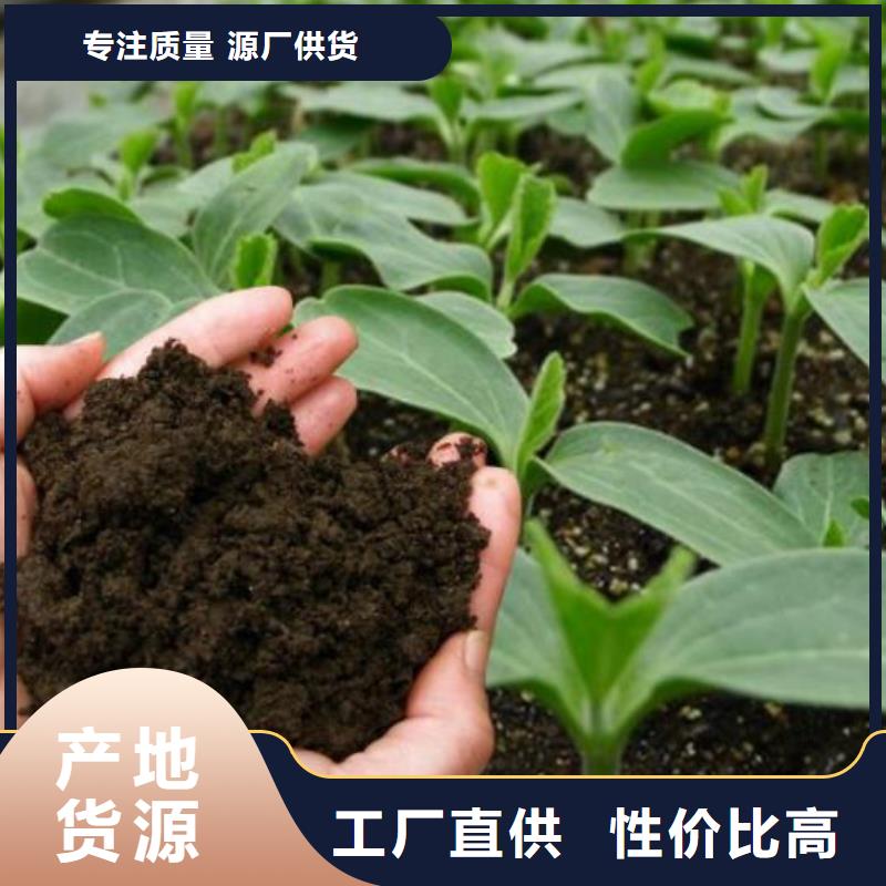 羊糞有機(jī)肥多少錢一噸當(dāng)?shù)貜S家值得信賴