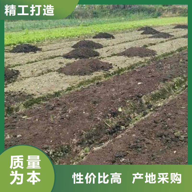肥水雞糞受到農民朋友歡迎讓利客戶